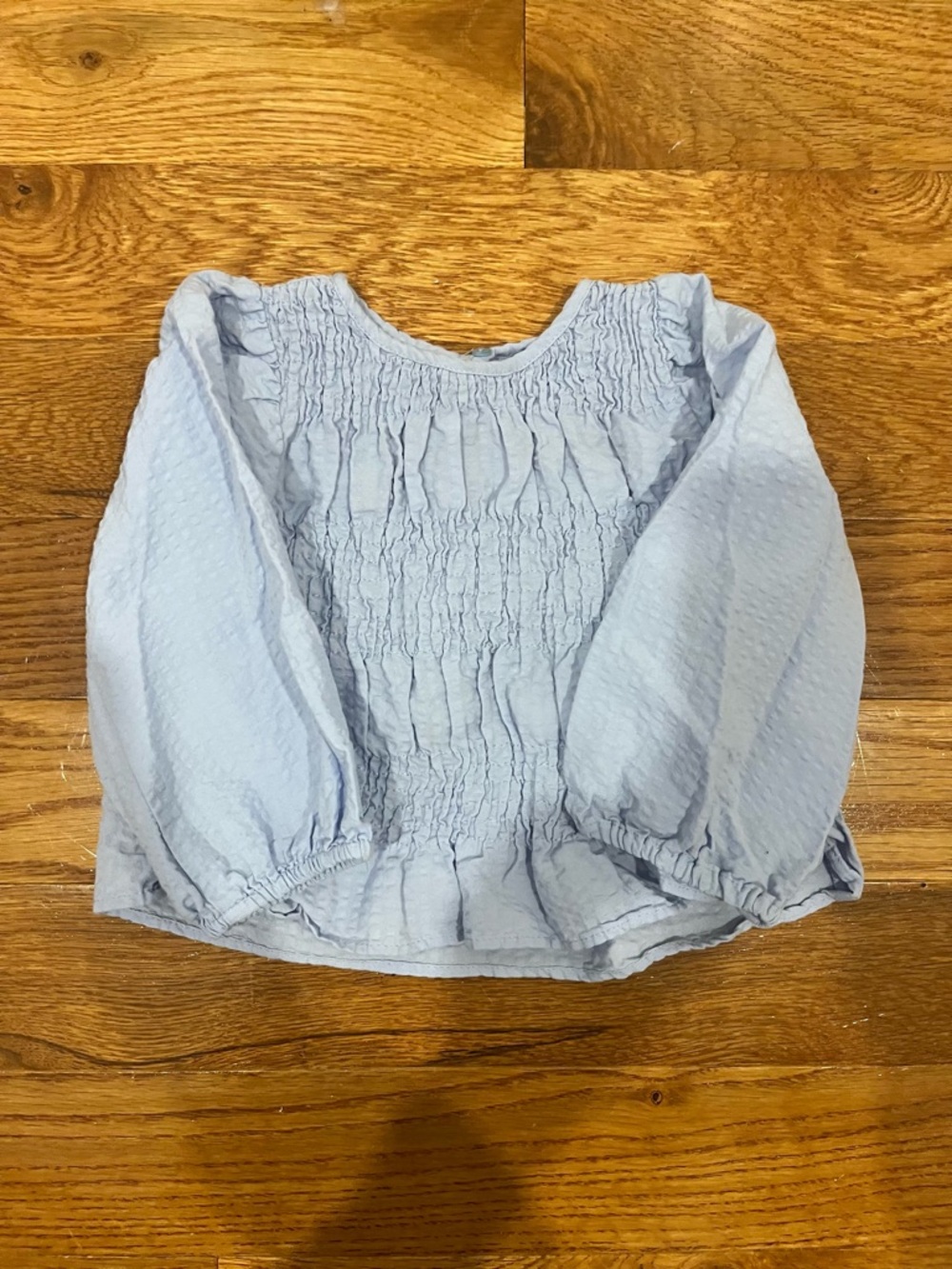 Zara girls Light Blue Smocked Long-Sleeve Kids Top